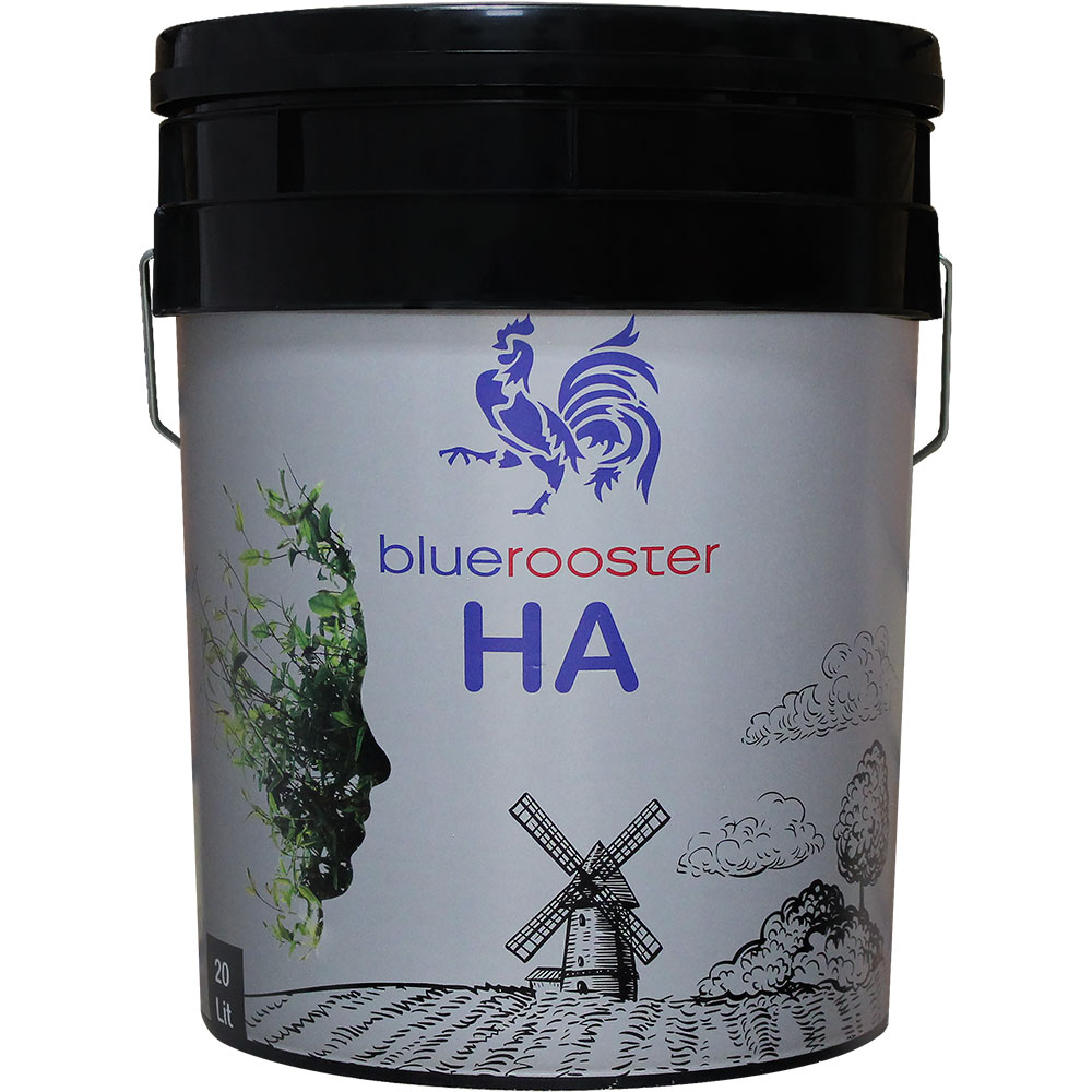 2024_6_4_15_16_56_634222_BlueroosterHATSZ-TSZ.png