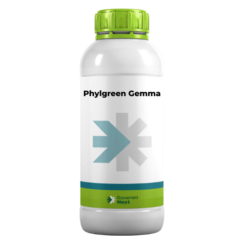 2025_4_19_15_22_38_50193_Phylgreen-gemma-1.png