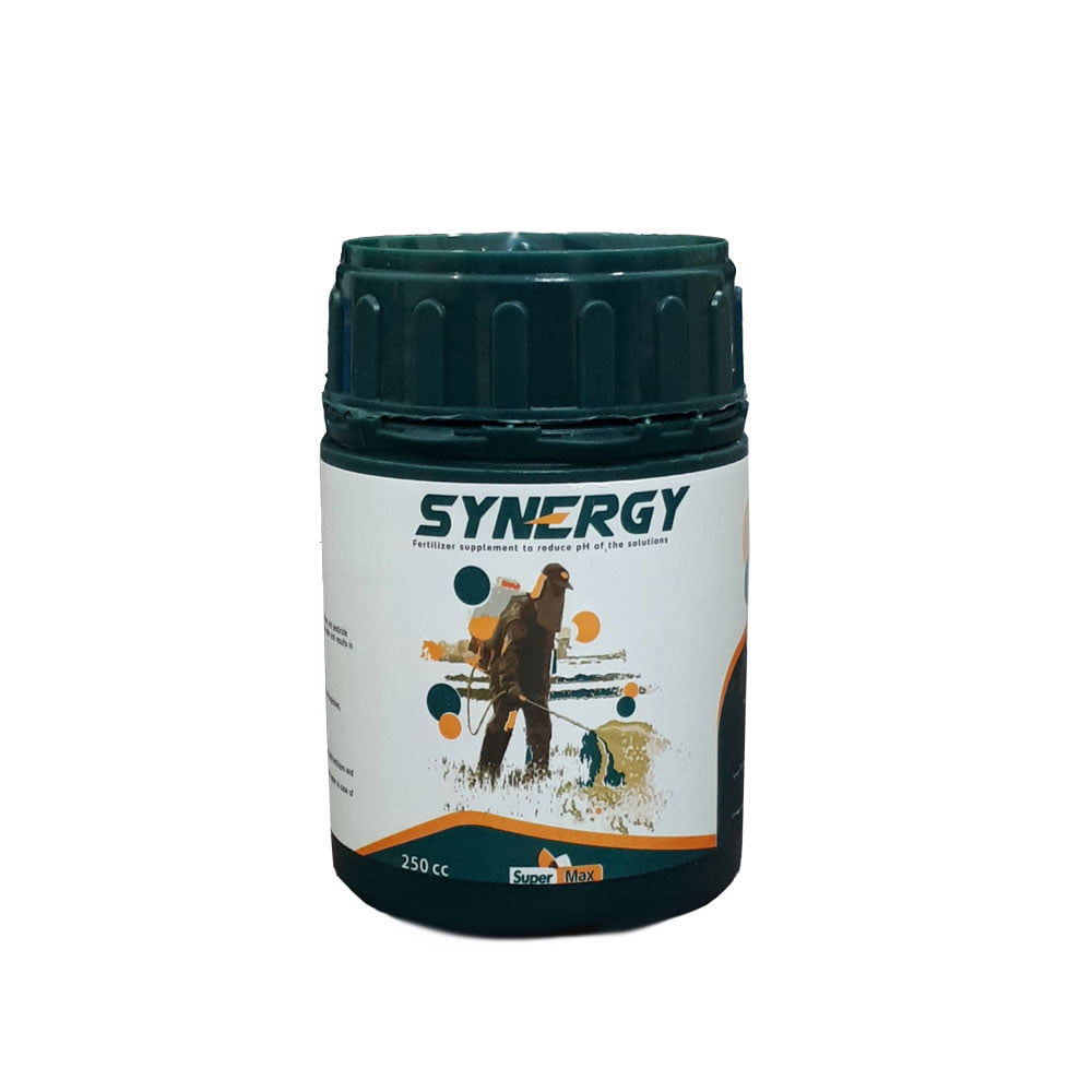2026_5_12_14_20_35_247701_SYNERJY.png